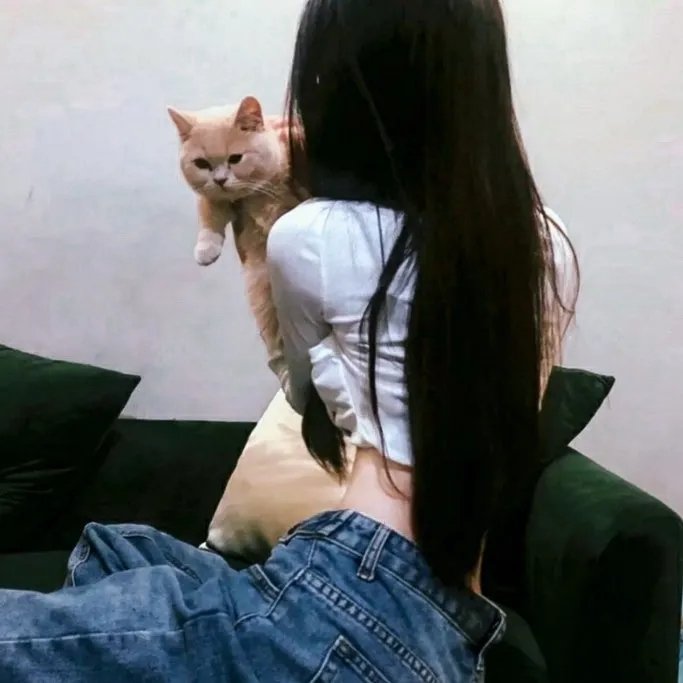 尘封笔记本